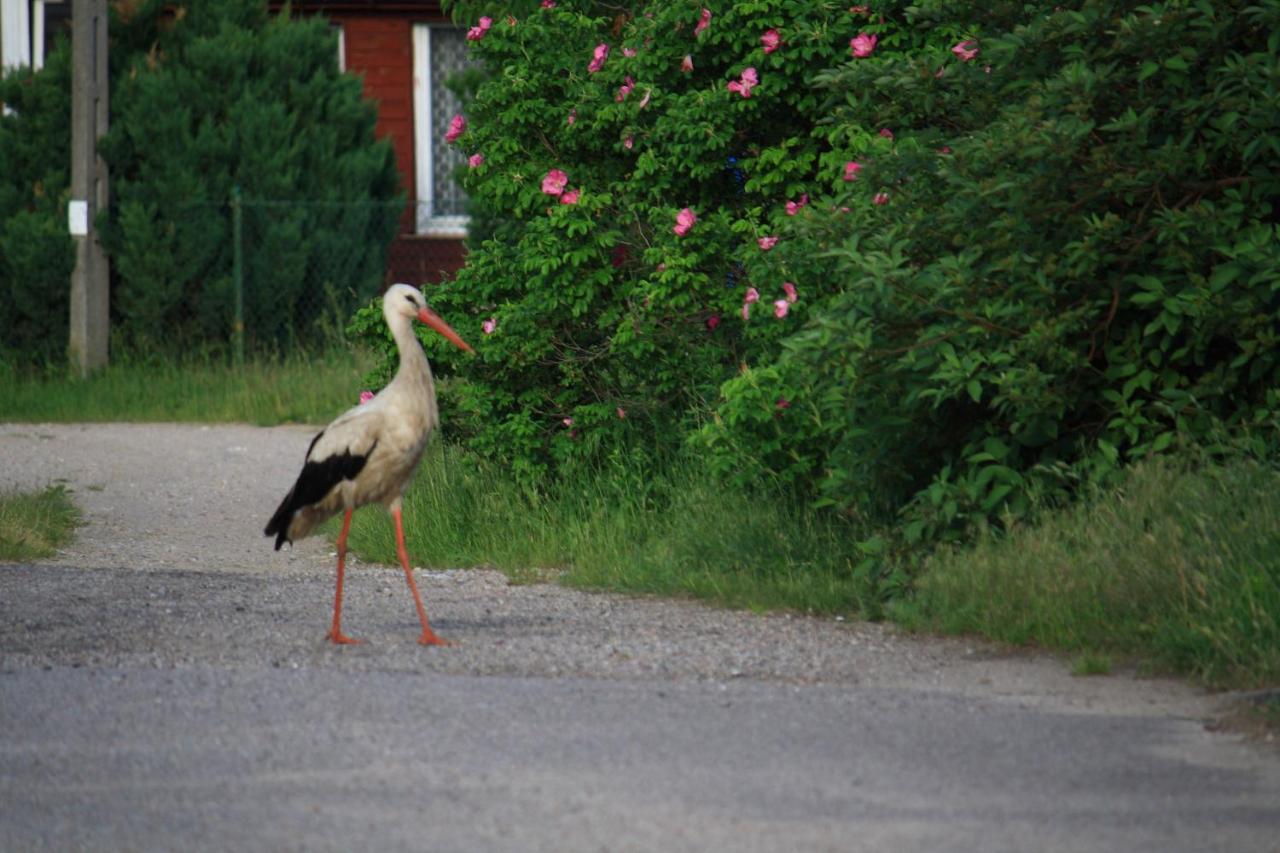 Nasze Podlasie, Domek W Dubiczach Cerkiewnych Dubicze Cerkiewne Exterior foto